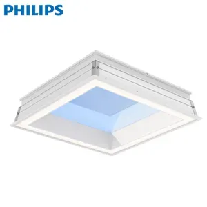 PHILIPS NatureConnect Skylight LP913P with Scene Set Control PHILIPS NatureConnect Skylight LP913P with Scene Set Control